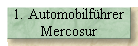 1. Automobilfhrer 
 Mercosur